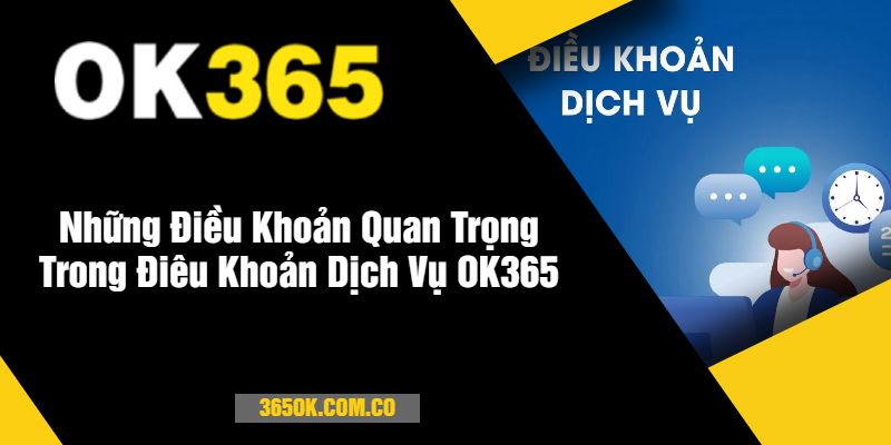 Những Điều Khoản Quan Trọng Trong Điêu Khoản Dịch Vụ OK365